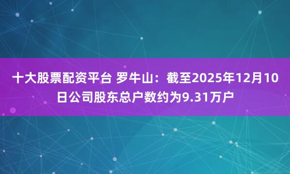 十大股票配资平台 罗牛山：截至2025年12月10日公司股东总户数约为9.31万户