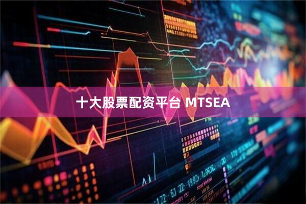 十大股票配资平台 MTSEA